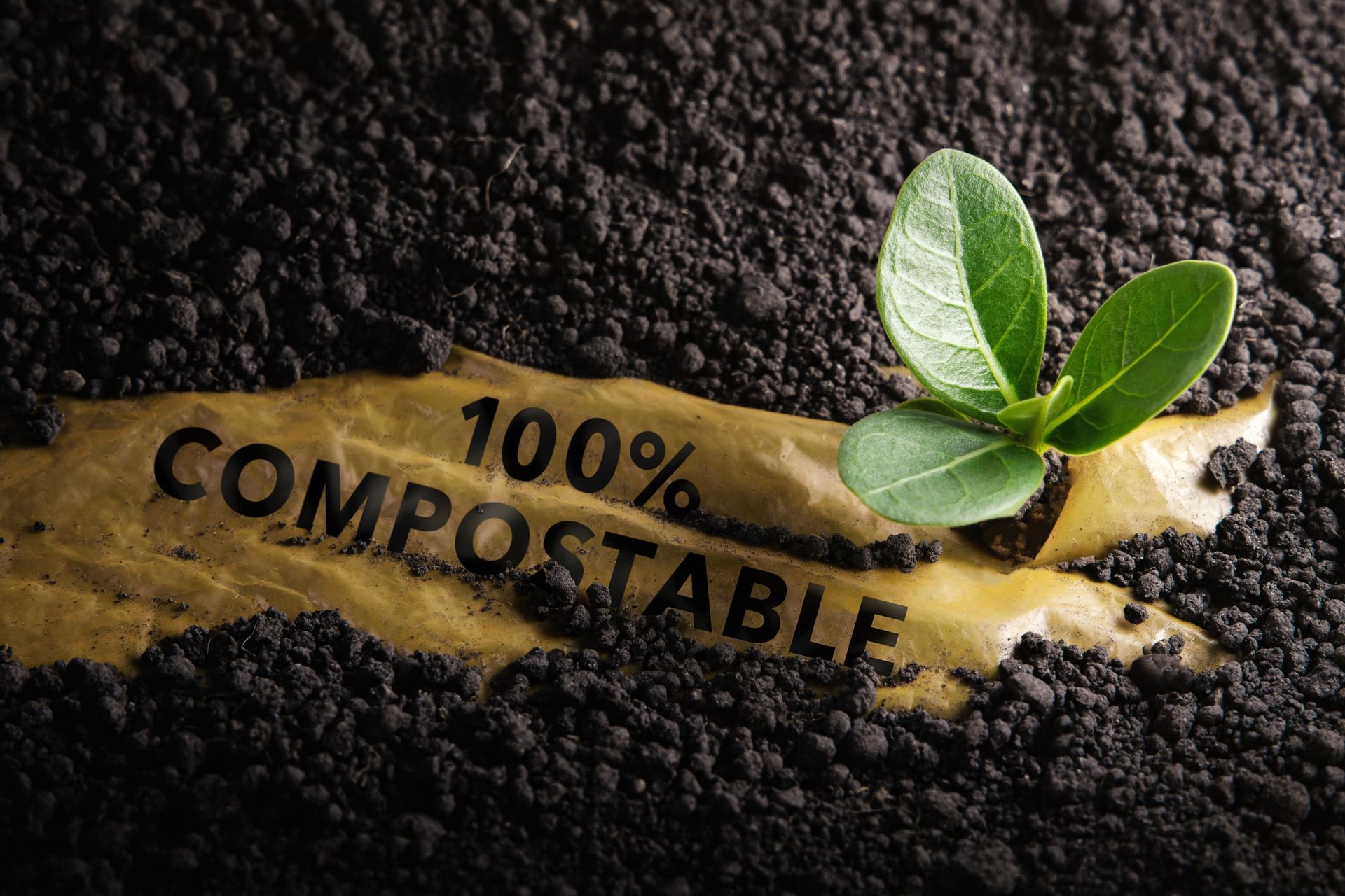 compostable take-out solutions - Trusted industry leaders